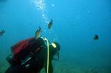 2009-09-07 10-33-46Li